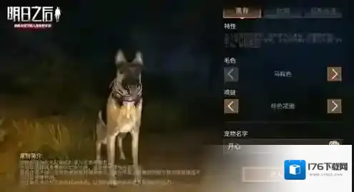 明日之后开局选哪只狗狗好 开局宠物狗选择攻略