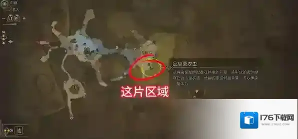 怪物猎人荒野寻找黑炎任务怎么做 怪物猎人荒野寻找黑炎任务攻略