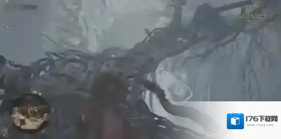 怪物猎人荒野大虚无动在哪里 怪物猎人荒野大虚无动位置介绍