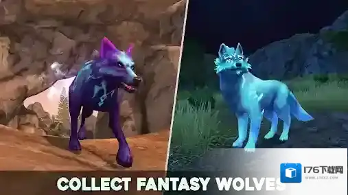 狼传说家园与爱心