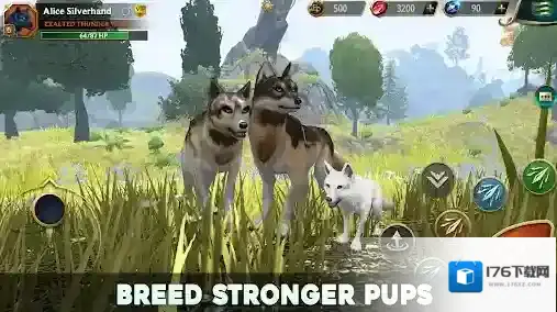 狼传说家园与爱心