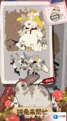 挤在一起的兔兔