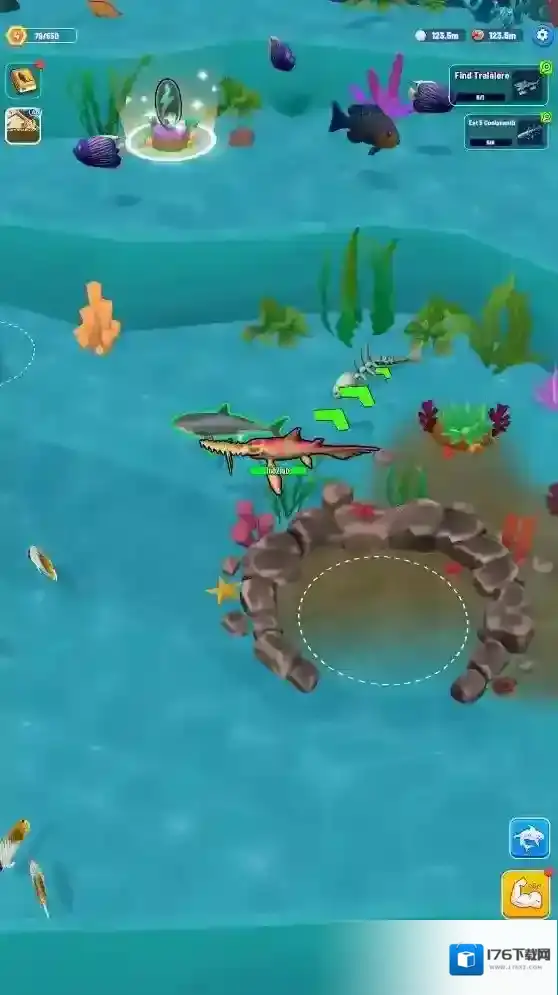 鲨鱼进化海洋之战