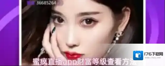 蜜疯直播app财富等级查看方法