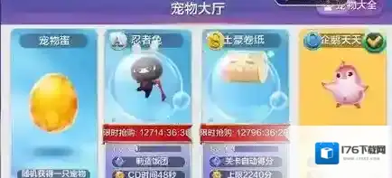 天天风之旅抽宠物方法