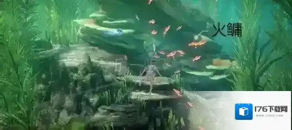 天谕手游绿藻花园鱼类有哪些 绿藻花园鱼类具体位置详解