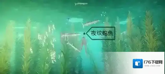 天谕手游绿藻花园鱼类有哪些 绿藻花园鱼类具体位置详解