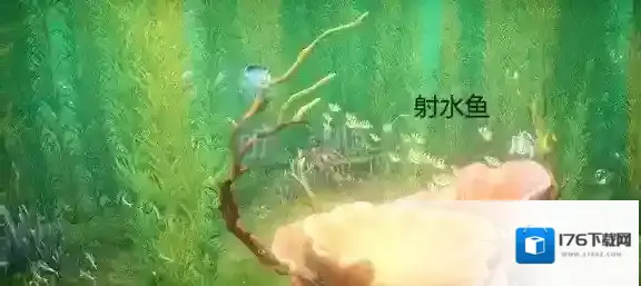 天谕手游绿藻花园鱼类有哪些 绿藻花园鱼类具体位置详解