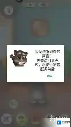 我的汤姆猫