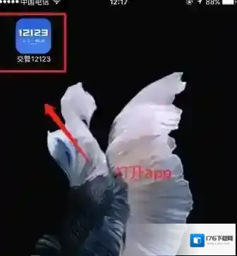 交管12123办理恢复驾驶资格业务怎么操作