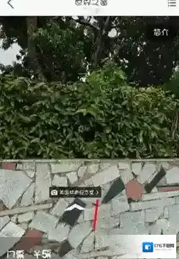 《高德地图》查看实景地图的方法介绍