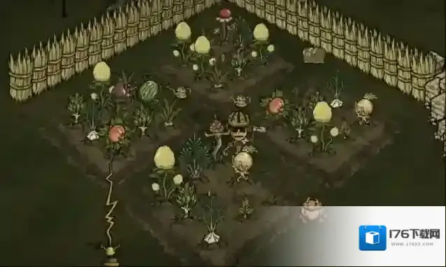 饥荒新手怎么种地