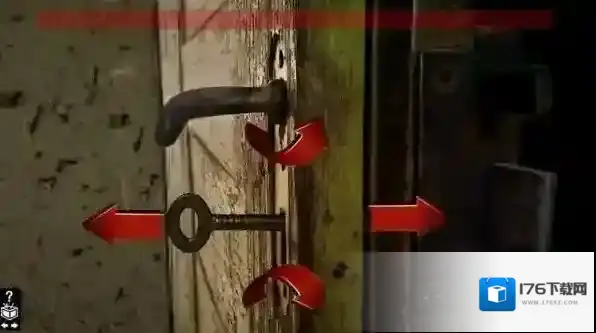 木箱樟Cedar chest