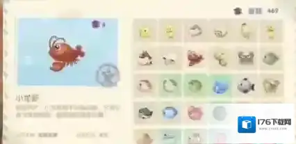 摩尔庄园手游向导考试答案是什么？摩尔庄园手游向导考试答案介绍