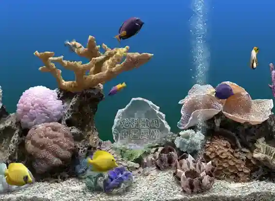 屏幕保护程序软件2025-屏幕保护程序免费版Windowsv3.3