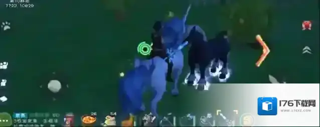 创造与魔法翼龙蛋长什么样子