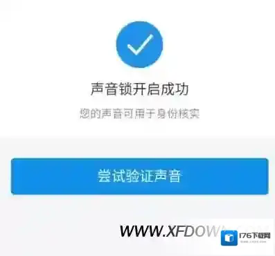 支付宝声音锁怎么启用,开启声音锁的方法