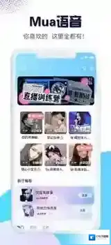 跟TT语音一样可以CP的软件 和TT语音类似的软件盘点