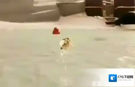 光遇10月21日大蜡烛在哪 10.21大蜡烛位置2022