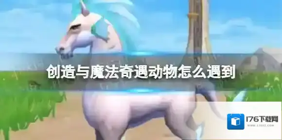 创造与魔法奇遇动物怎么遇到 创造与魔法奇遇动物刷新机制