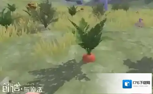 创造与魔法什么动物掉萝卜