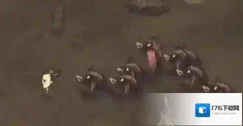 饥荒狼来了怎么办