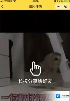 《微信》闪萌表情搜索GIF表情方法