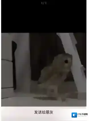 《微信》闪萌表情搜索GIF表情方法