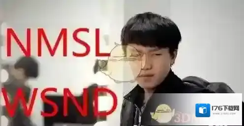 nmsl意思、出处、含义介绍