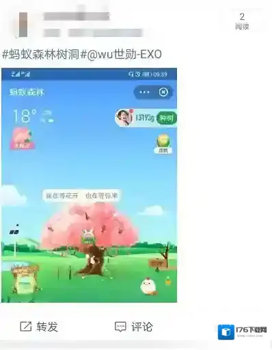 蚂蚁森林树洞在哪?支付宝蚂蚁森林520表白树洞玩法