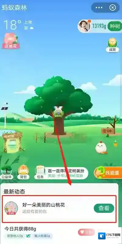 蚂蚁森林树洞在哪?支付宝蚂蚁森林520表白树洞玩法