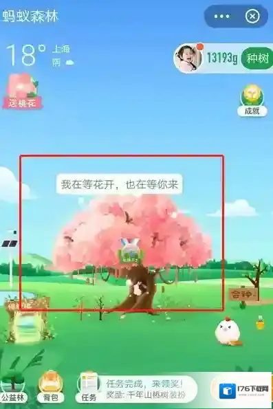 蚂蚁森林树洞在哪?支付宝蚂蚁森林520表白树洞玩法