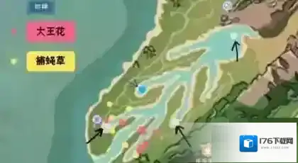 创造与魔法小顽皮在哪里?创造与魔法小顽皮位置介绍