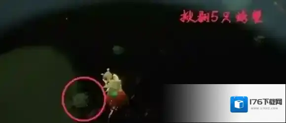 光遇7月1日每日任务怎么做?光遇7月1日每日任务完成攻略