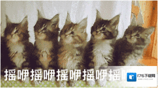 乘风破浪的姐姐们表情包汇总分享