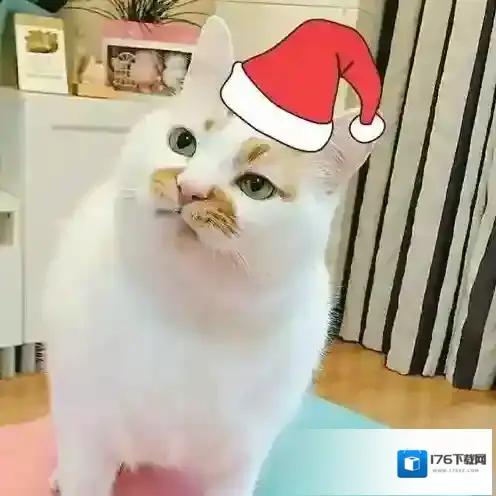 《微信》圣诞帽子头像素材大全