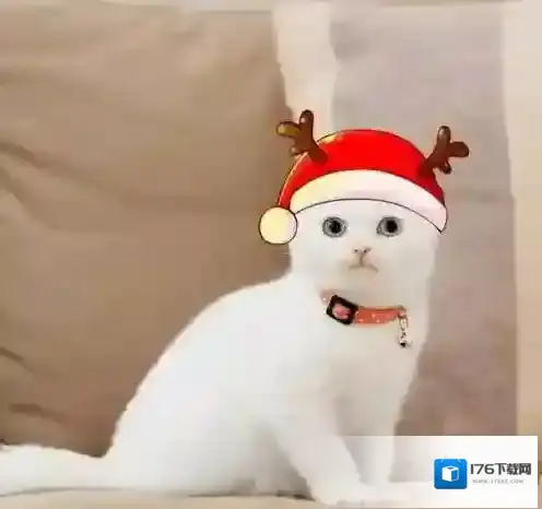 《微信》圣诞帽子头像素材大全