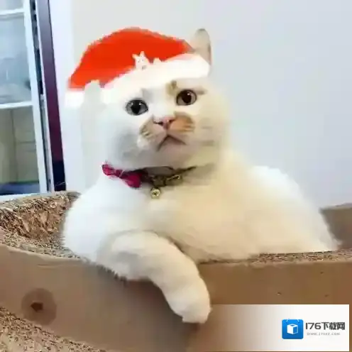 《微信》圣诞帽子头像素材大全