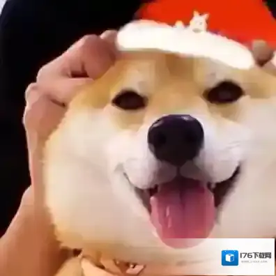 《微信》圣诞帽子头像素材大全