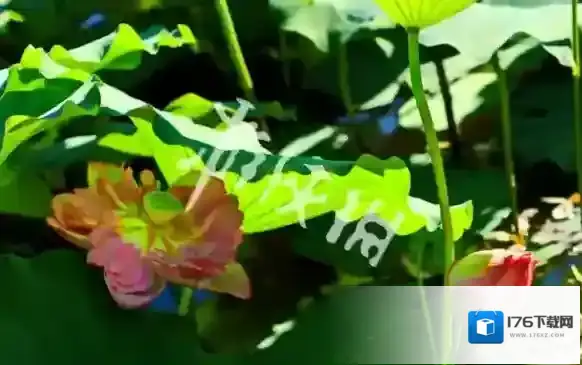 微信昵称男生成熟稳重有内涵