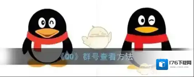 《QQ》群号查看方法