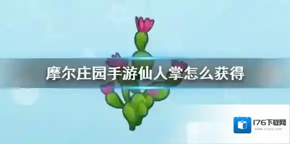 摩尔庄园手游仙人掌在哪里？摩尔庄园手游仙人掌获取位置