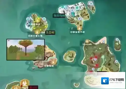 创造与魔法龙血树有什么用