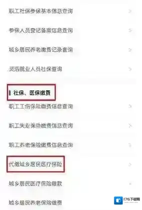 《鄂汇办》缴纳农村合作医疗保险方法