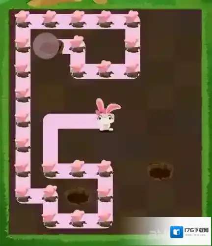 兔子复仇记五针松5关怎么过 Patchmania五针松第五关攻略