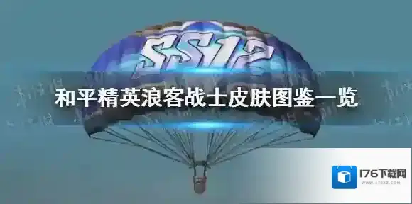 和平精英浪客战士皮肤怎么样 和平精英浪客战士皮肤图鉴一览