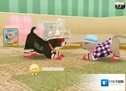 心动小狗怎么生小狗 游戏生娃攻略