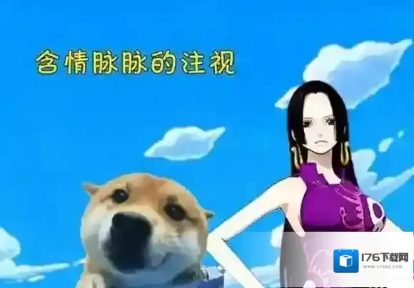 航海王燃烧意志套装搭配技巧 灵活搭配2+2