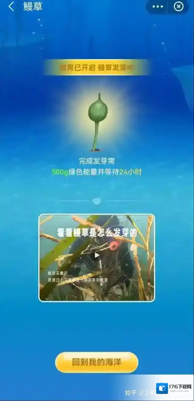 《支付宝》神奇海洋海域6攻略