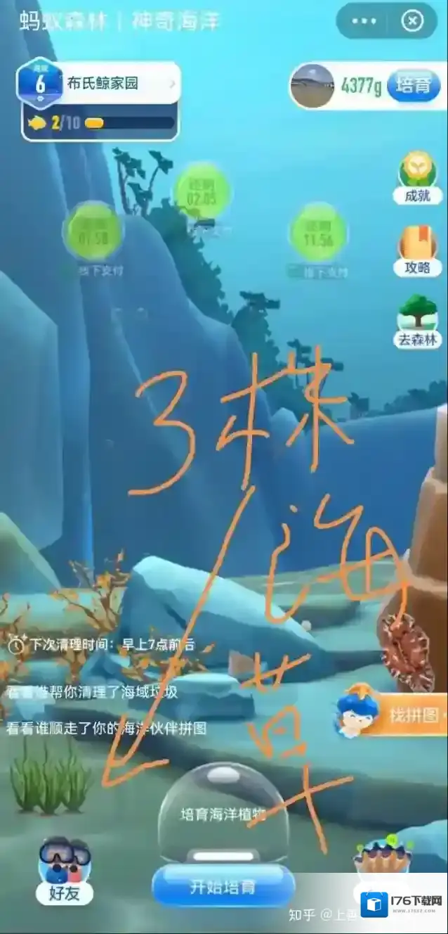 《支付宝》神奇海洋海域6攻略